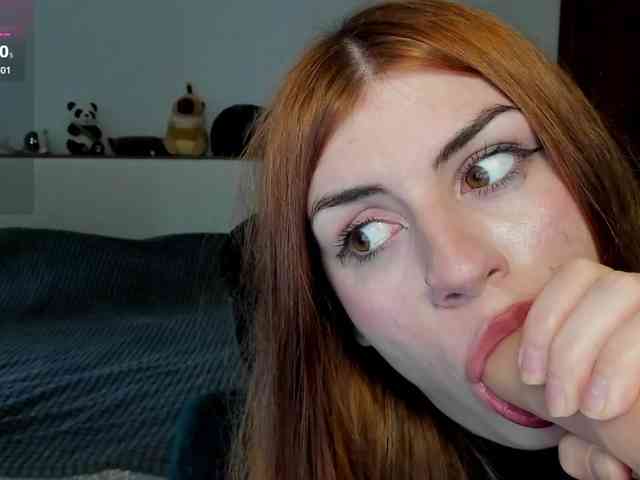 AmiGray webcam