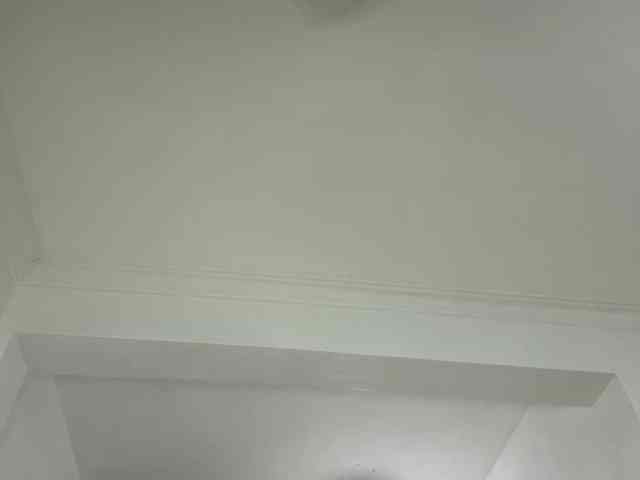 cravemeslowly255 webcam
