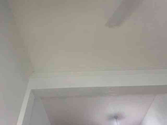 cravemeslowly255 webcam