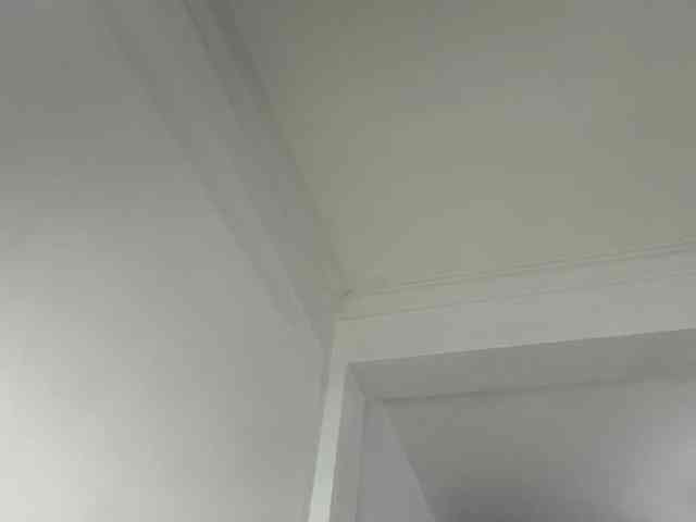 cravemeslowly255 webcam