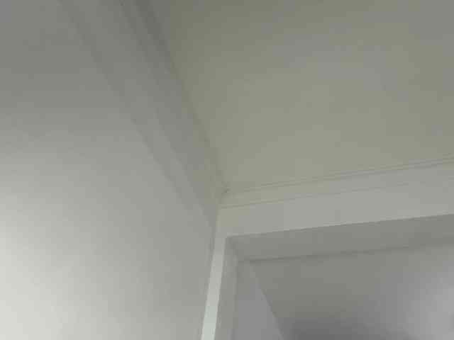 cravemeslowly255 webcam