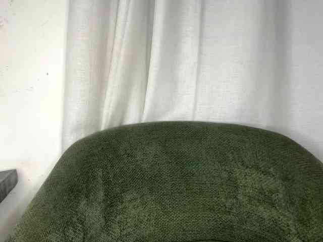 cravemeslowly255 webcam