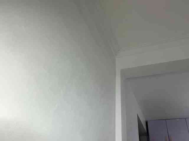 cravemeslowly255 webcam
