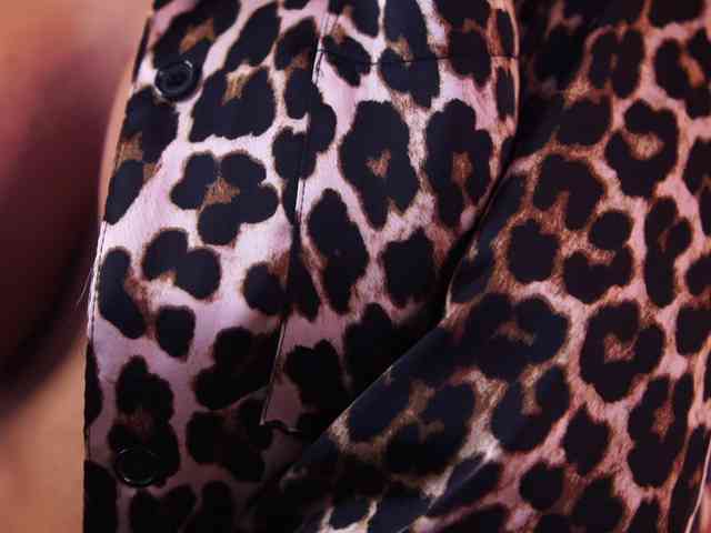 AstridVex webcam