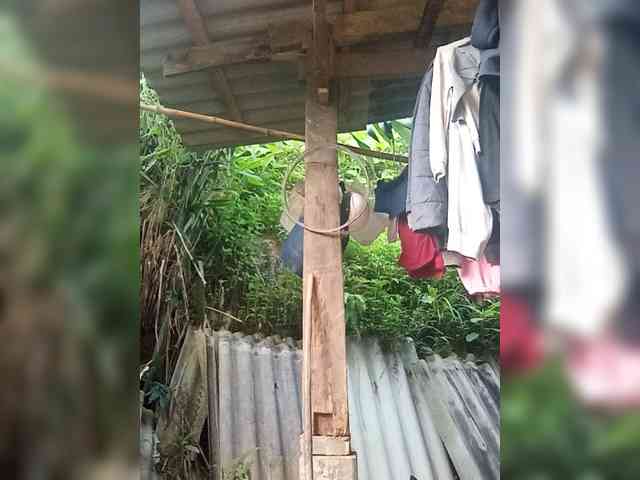 Lucky-man1 webcam
