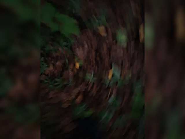 SEXDrevolaz