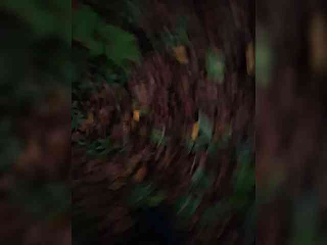 Drevolaznnov2 Drevolaznnov2