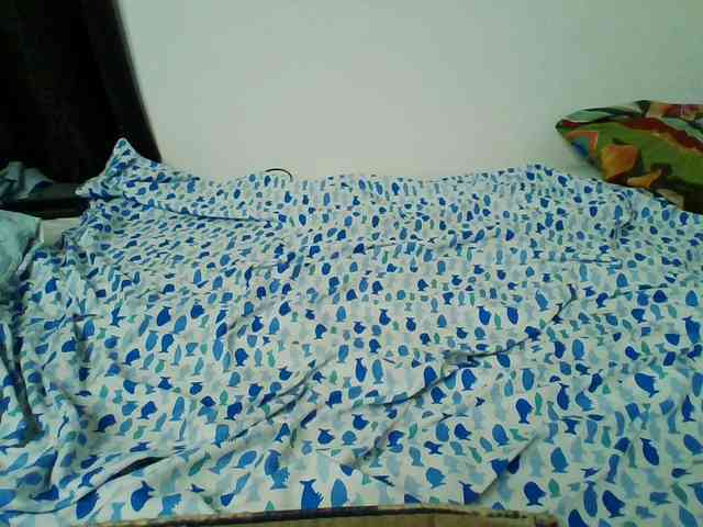 Bebes22 webcam