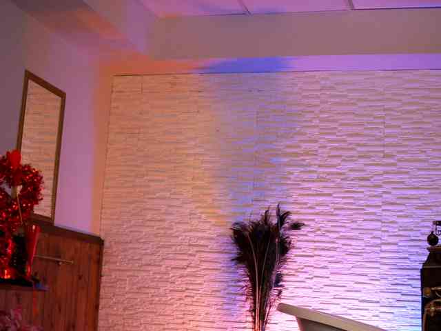 OdalysDove webcam