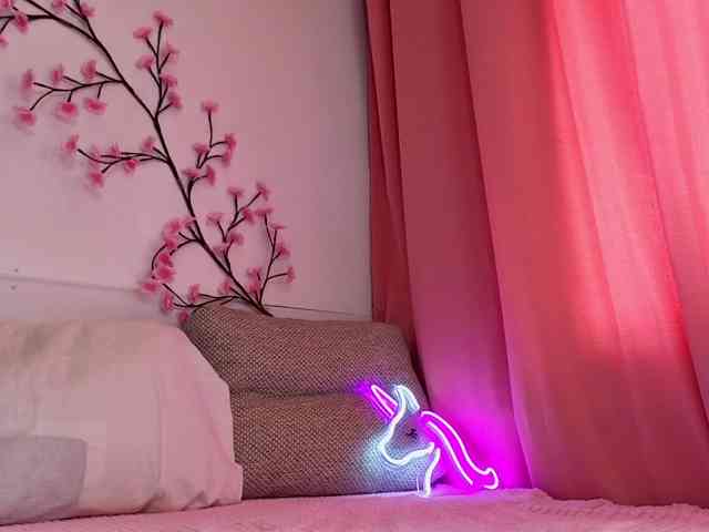 cutetella's live room