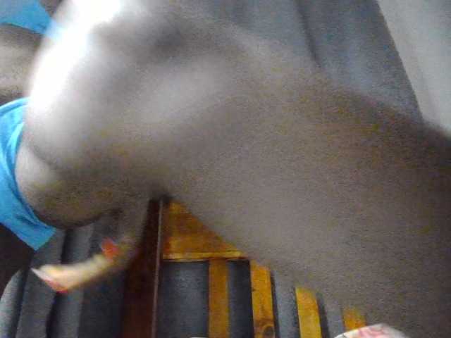 Dimplelaydy