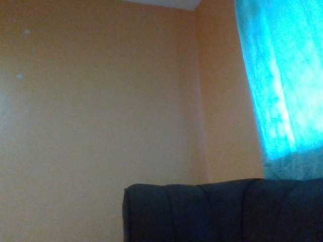 Dimplelaydy