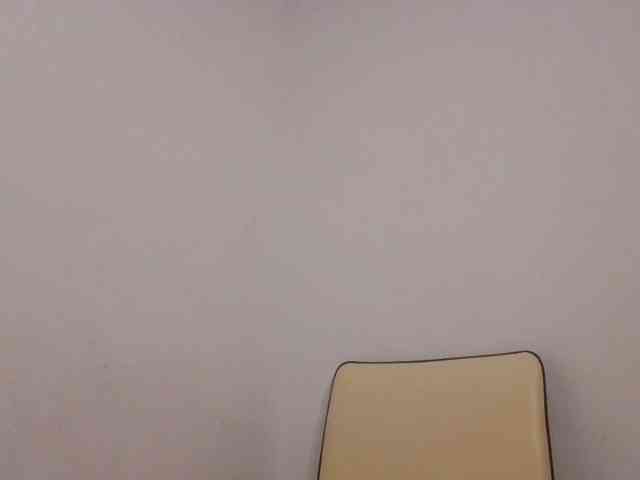 Dimplelaydy webcam