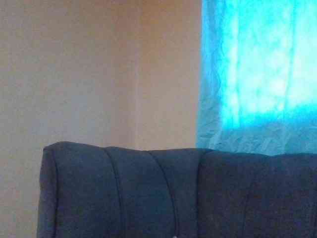 Dimplelaydy webcam