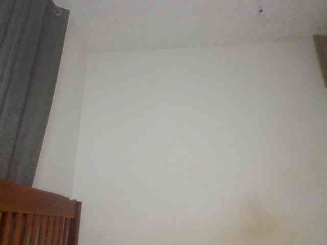 Dimplelaydy webcam