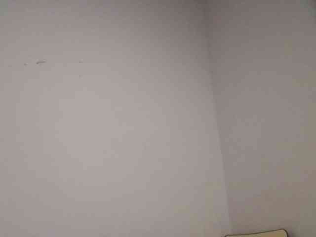 Dimplelaydy webcam