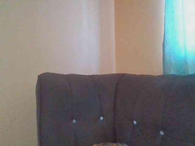 Dimplelaydy webcam