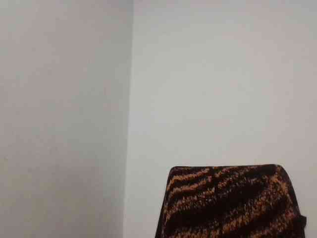 Dimplelaydy webcam