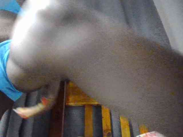 Dimplelaydy webcam