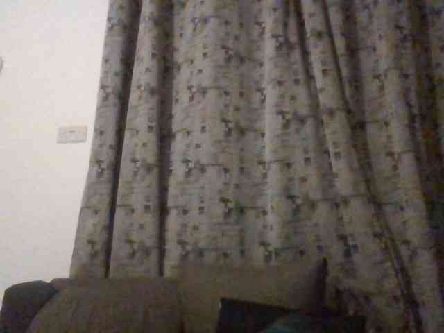 Dimplelaydy webcam