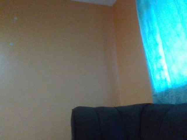 Dimplelaydy webcam