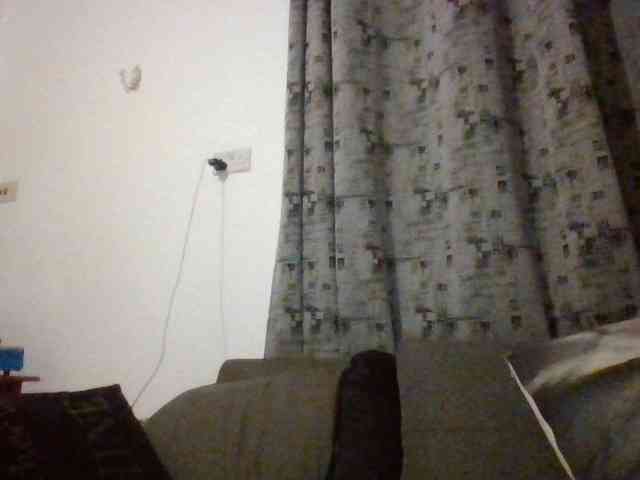 Dimplelaydy webcam