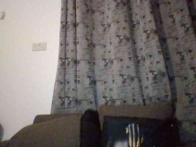 Dimplelaydy webcam