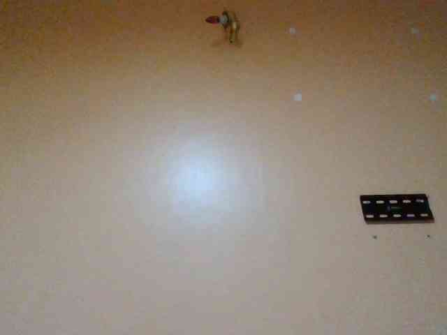 Dimplelaydy webcam