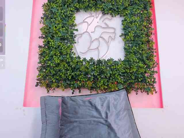 NinnaBallack webcam