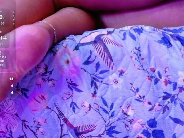 softlatina