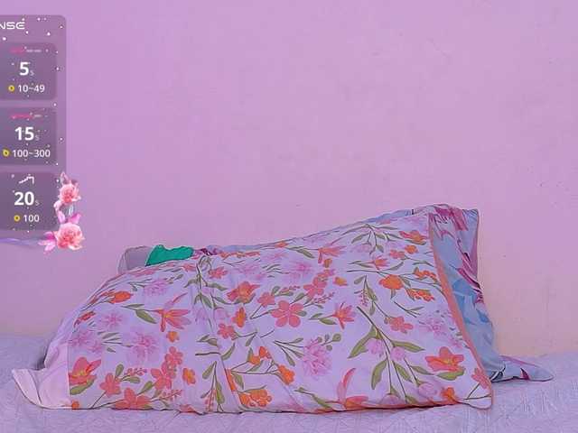 softlatina