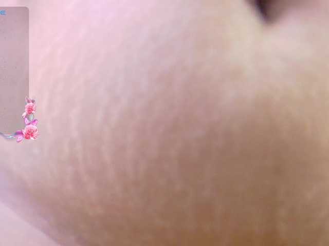 softlatina