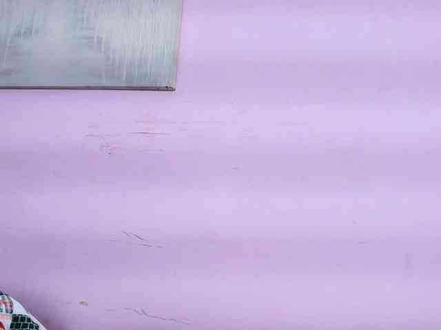 Shariito webcam