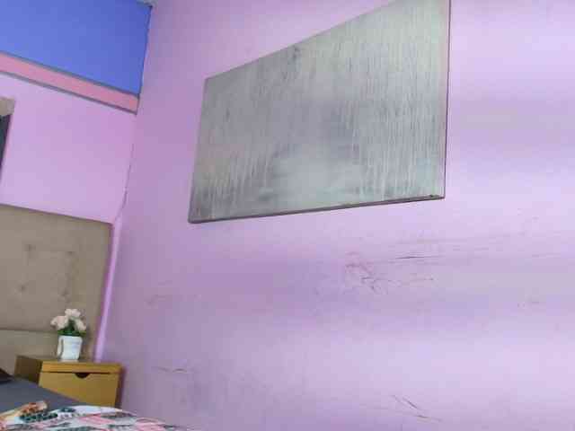 Shariito webcam