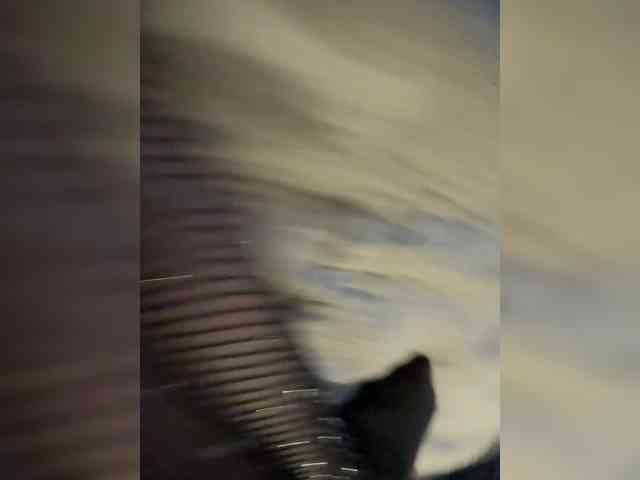 Ani-6 webcam