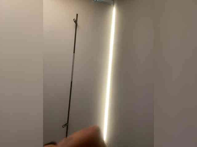 Ani-6 webcam