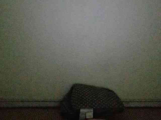 Linnsa webcam