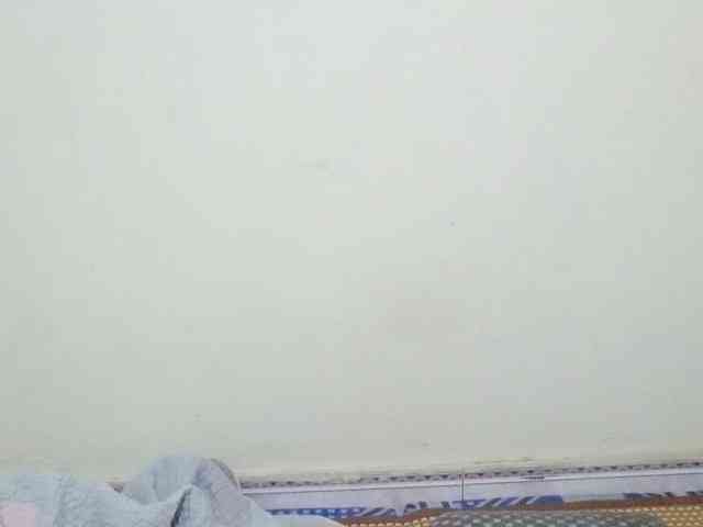 Linnsa webcam