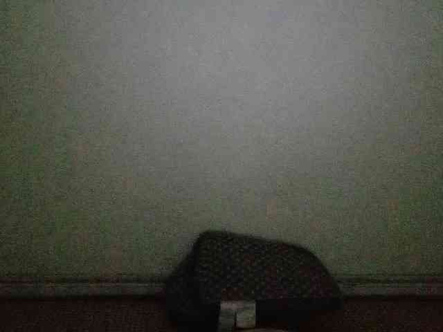 Linnsa webcam