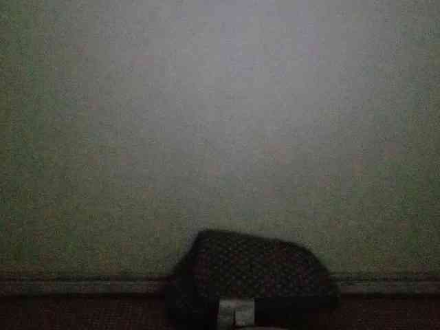 Linnsa webcam