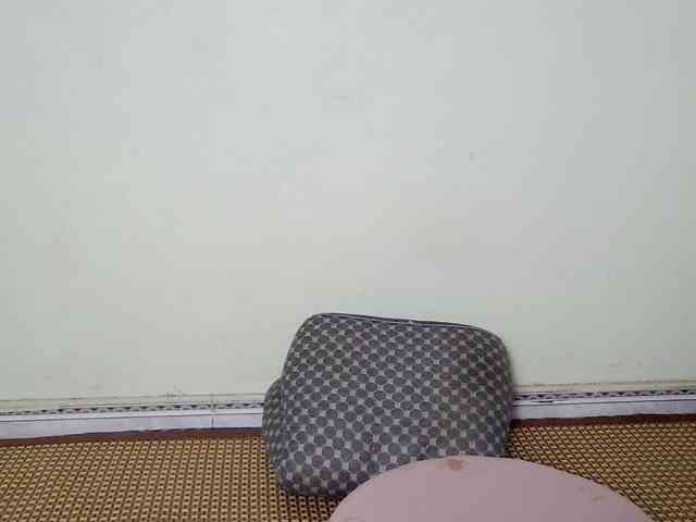Linnsa webcam