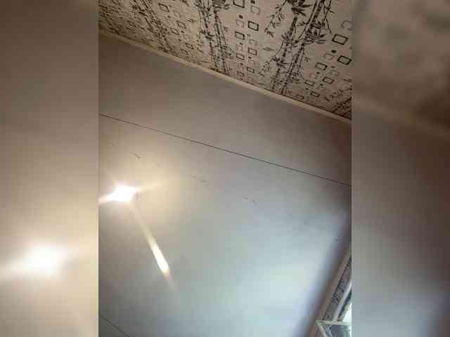 dinad64 webcam