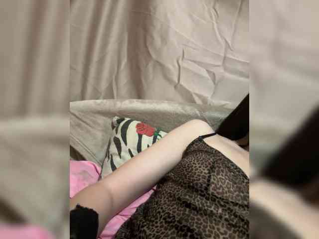 dinad64 webcam