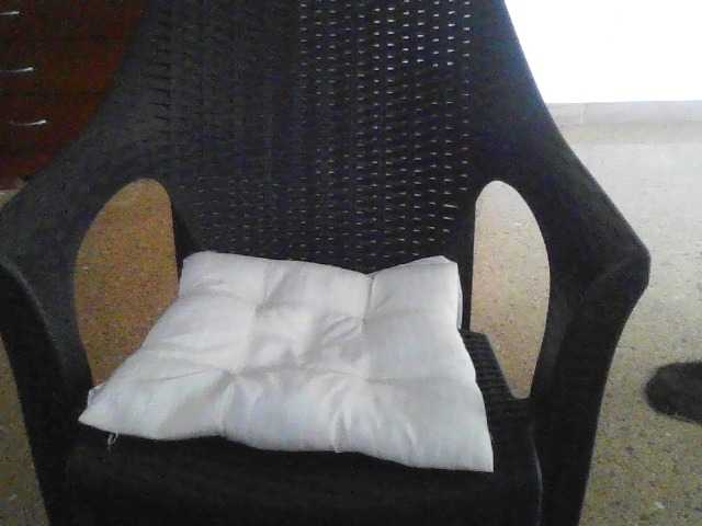 camilalucca webcam