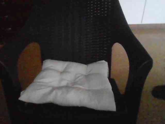 camilalucca webcam