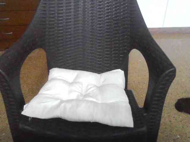 camilalucca webcam
