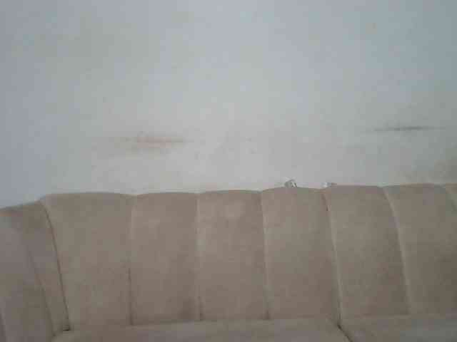 CurvyR webcam