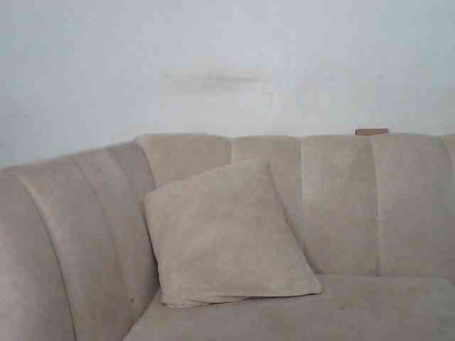 CurvyR webcam
