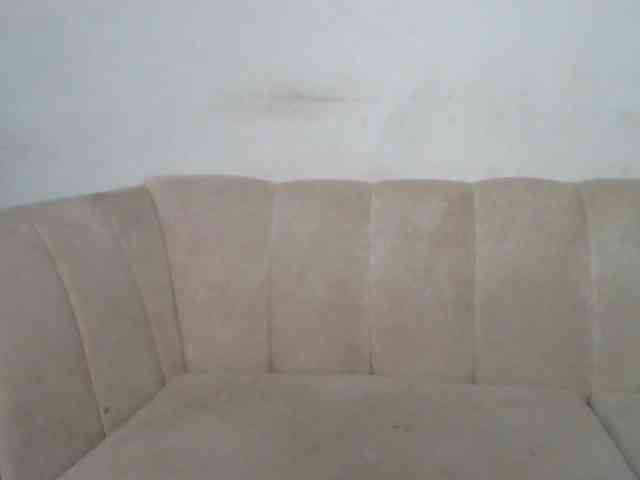 CurvyR webcam