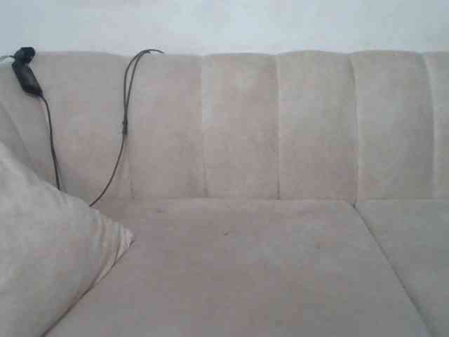 CurvyR webcam